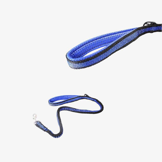 Pet Dog Stretchy Leash Lead