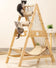 files/Picture3.webp
