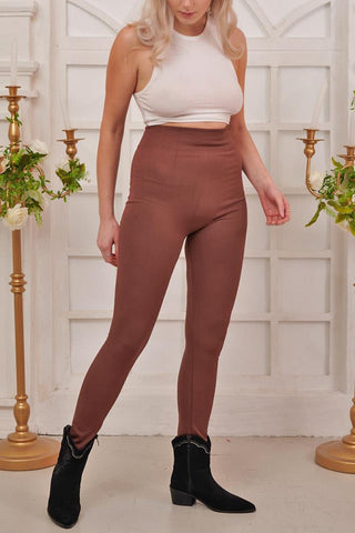 WINTER WARM THICK SEAMLESS FLEECE LEGGING