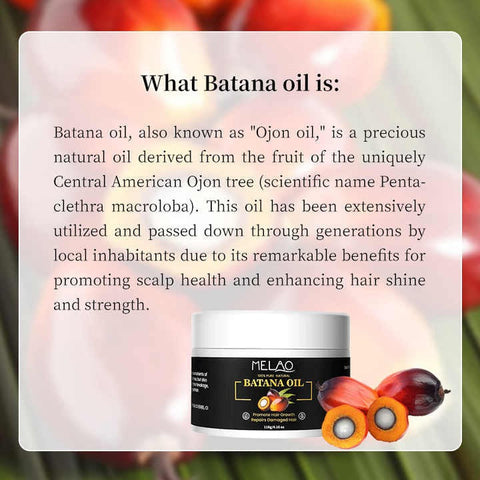 Batana Oil Hair Treatment for Dryness, Damage & Hair Loss