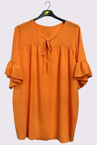 Plain Tie Neck Ruffle Sleeve Top