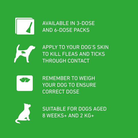 FRONTLINE Plus Flea & Tick Treatment for Small Dogs (2–10kg)