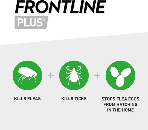 FRONTLINE Plus Flea &amp; Tick Spot-On Treatment for Medium Dogs (10–20kg)