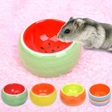 Anti Spill Hamster Food Bowl Fruit Color Ceramic Trendyol