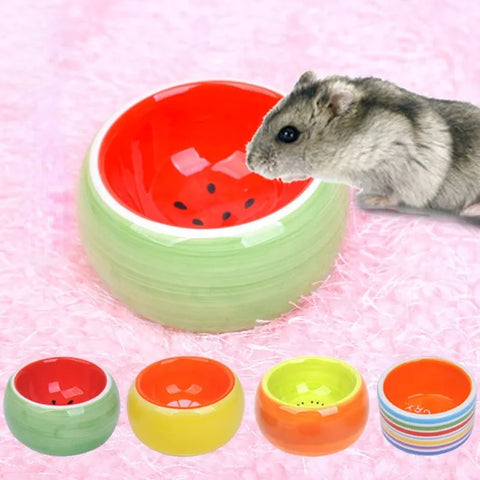 Anti Spill Hamster Food Bowl Fruit Color Ceramic Trendyol
