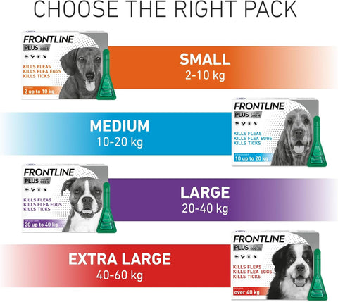 FRONTLINE Plus Flea & Tick Treatment for Small Dogs (2–10kg)