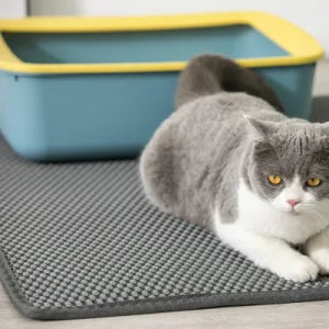 Honeycomb Waterproof Pet Litter Trapper Mat – Eco-Friendly Double-Layer Design for Cats