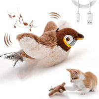 Interactive Rechargeable Chirping Bird Cat Toy with Catnip