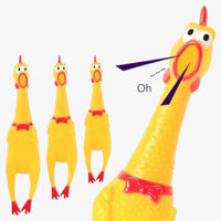 Large Screaming Chicken