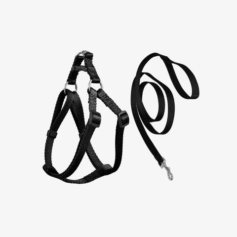 Pet Dog Leash with Harass