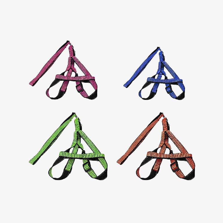 Pet Dog Leash with Harkness