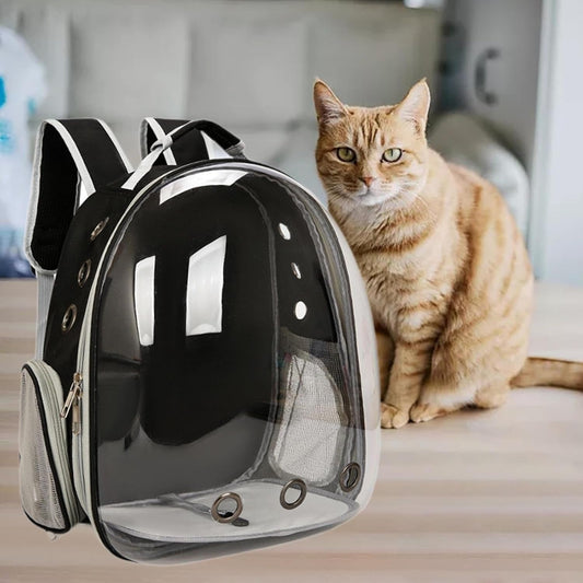 Pet Carrier Backpack – Transparent Bubble Design for Cats & Small Dogs, Comfortable & Stylish