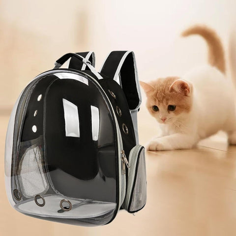 Pet Carrier Backpack – Transparent Bubble Design for Cats & Small Dogs, Comfortable & Stylish
