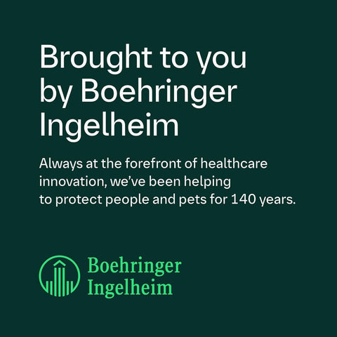 Frontline Plus Flea & Tick Treatment for Cats (6 Pipettes)