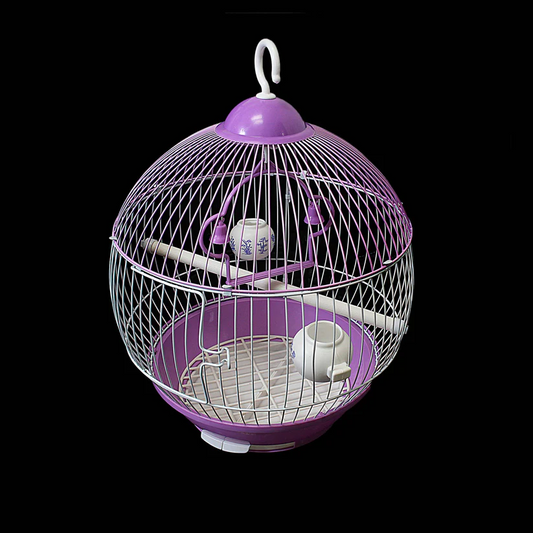 Round Hanging Bird Cage with Hook – Durable and Spacious Home for Small Birds
