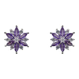 Silver Clear & Amethyst CZ Stud Earrings