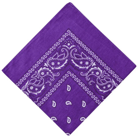 XL Paisley Bandana Scarf – Neck, Head, and Biker Face Mask