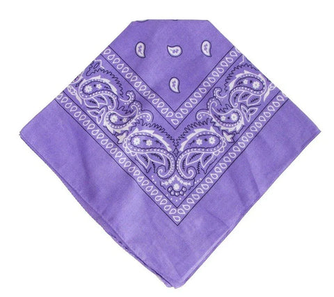 XL Paisley Bandana Scarf – Neck, Head, and Biker Face Mask
