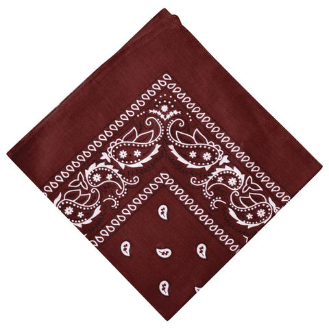 XL Paisley Bandana Scarf – Neck, Head, and Biker Face Mask